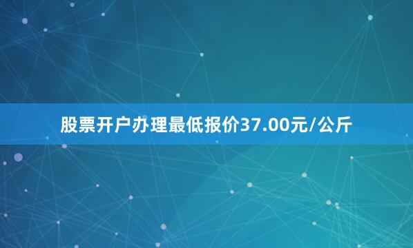 股票开户办理最低报价37.00元/公斤