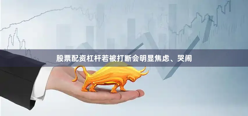 股票配资杠杆若被打断会明显焦虑、哭闹